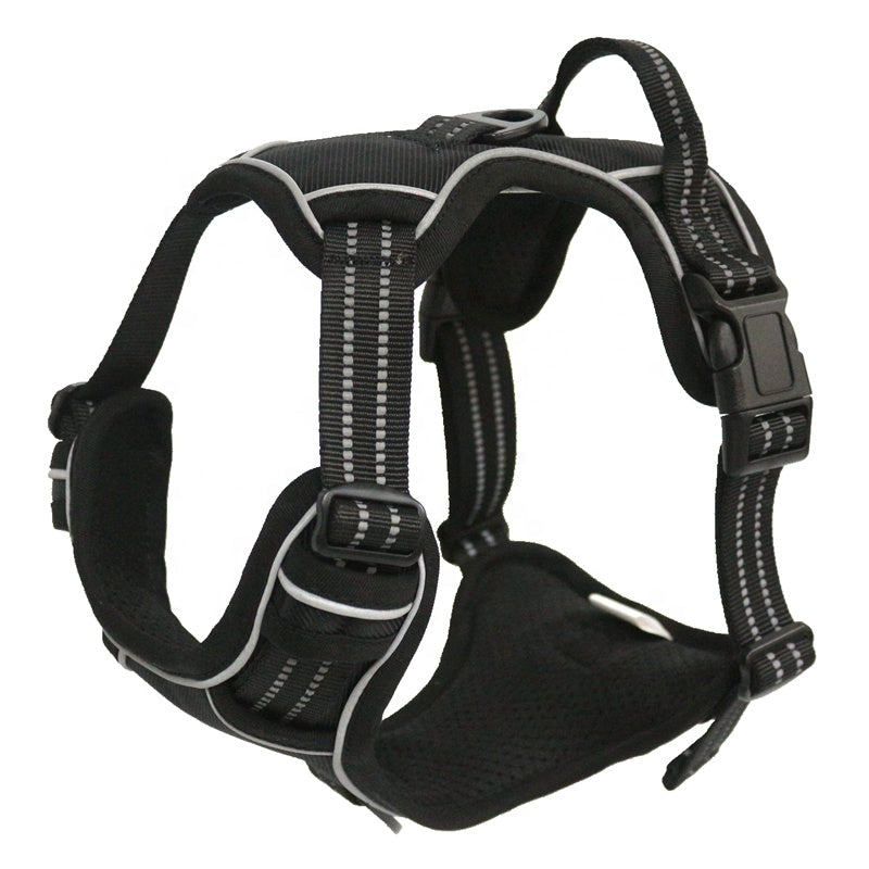 Dog safety outlet harness